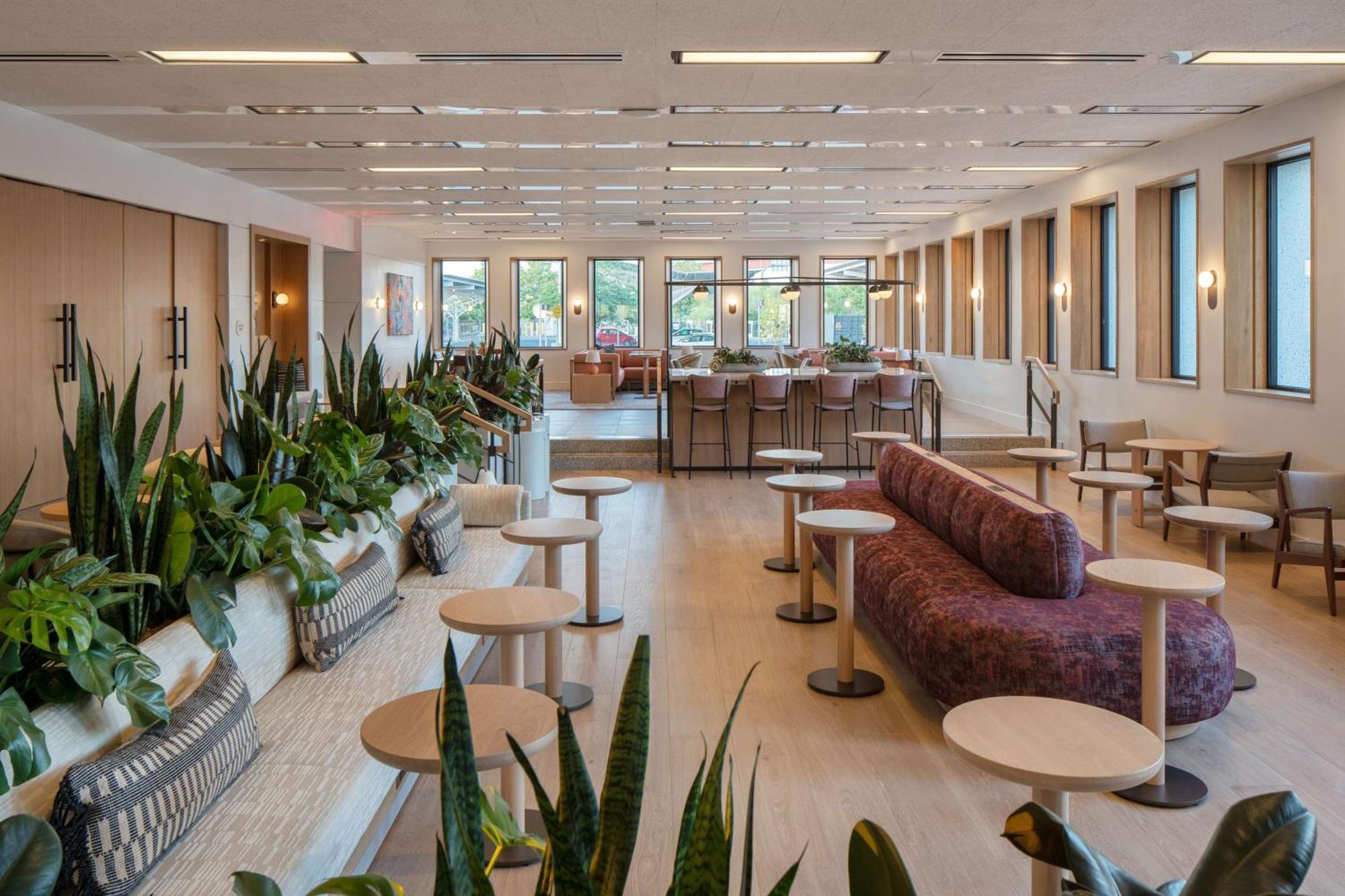 Hotel Marcel New Haven, Tapestry Collection By Hilton Extérieur photo